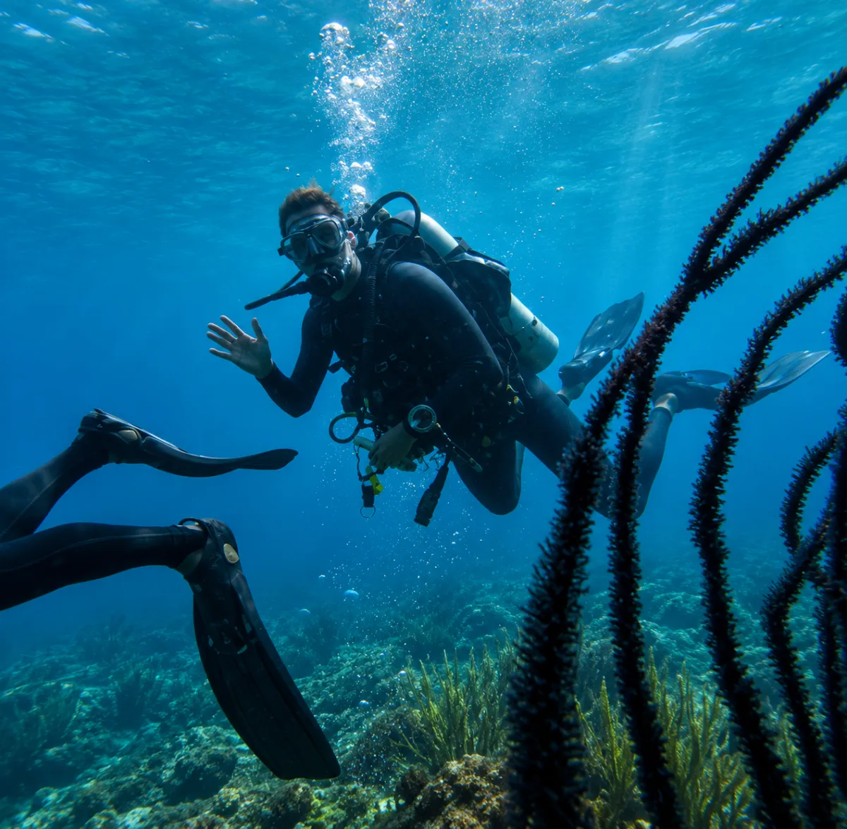 Marmaris Scuba Diving Adventure with Two Dives & Lunch - Marmaris Excursion - EN